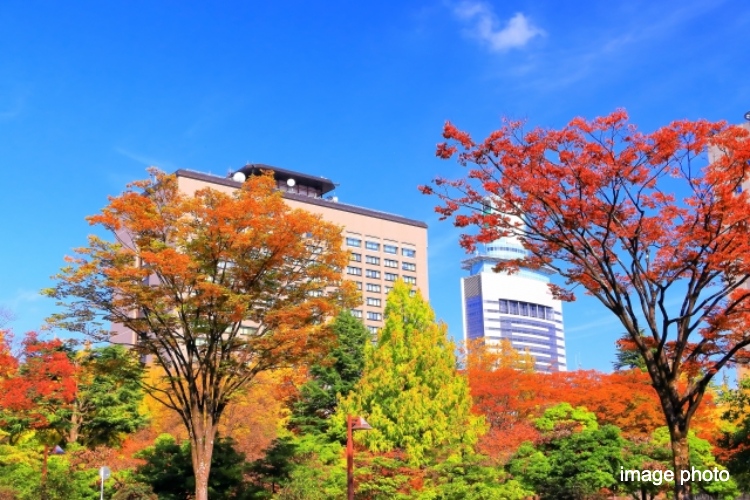 勾当台公園のイメージ画像